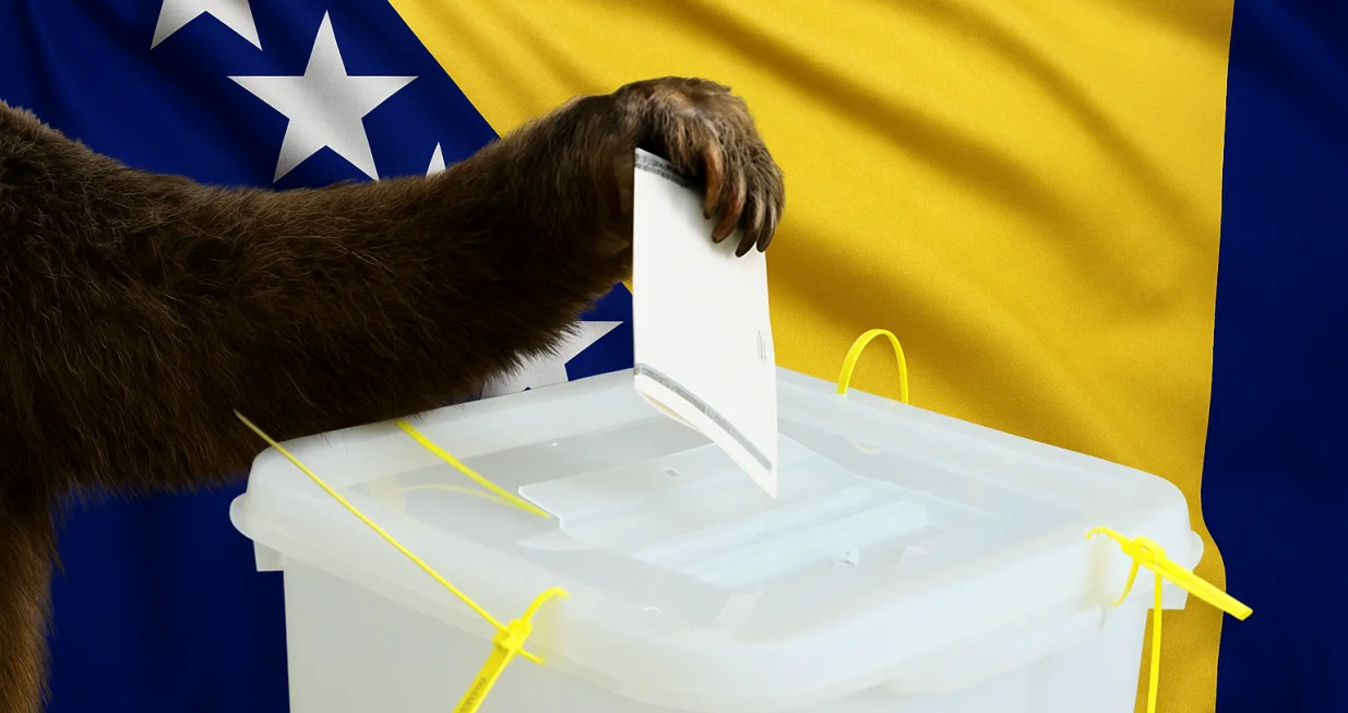 Medvjed glasa/Chatgpt