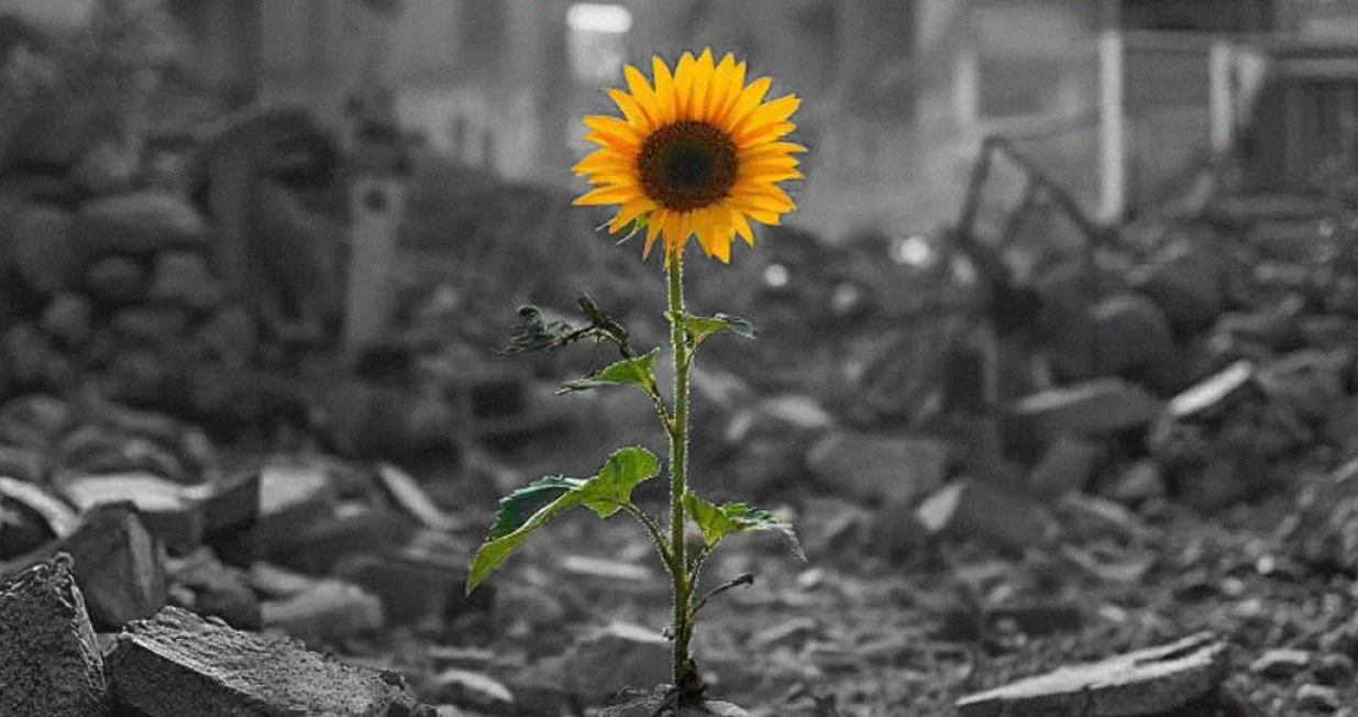 vizual za kolumnu faruka šehića, Idemo dalje!/Benjamin Krnić