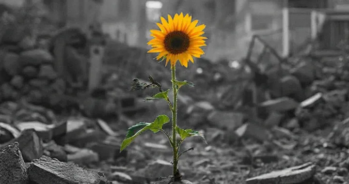 vizual za kolumnu faruka &scaron;ehića, Idemo dalje!/Benjamin Krnić