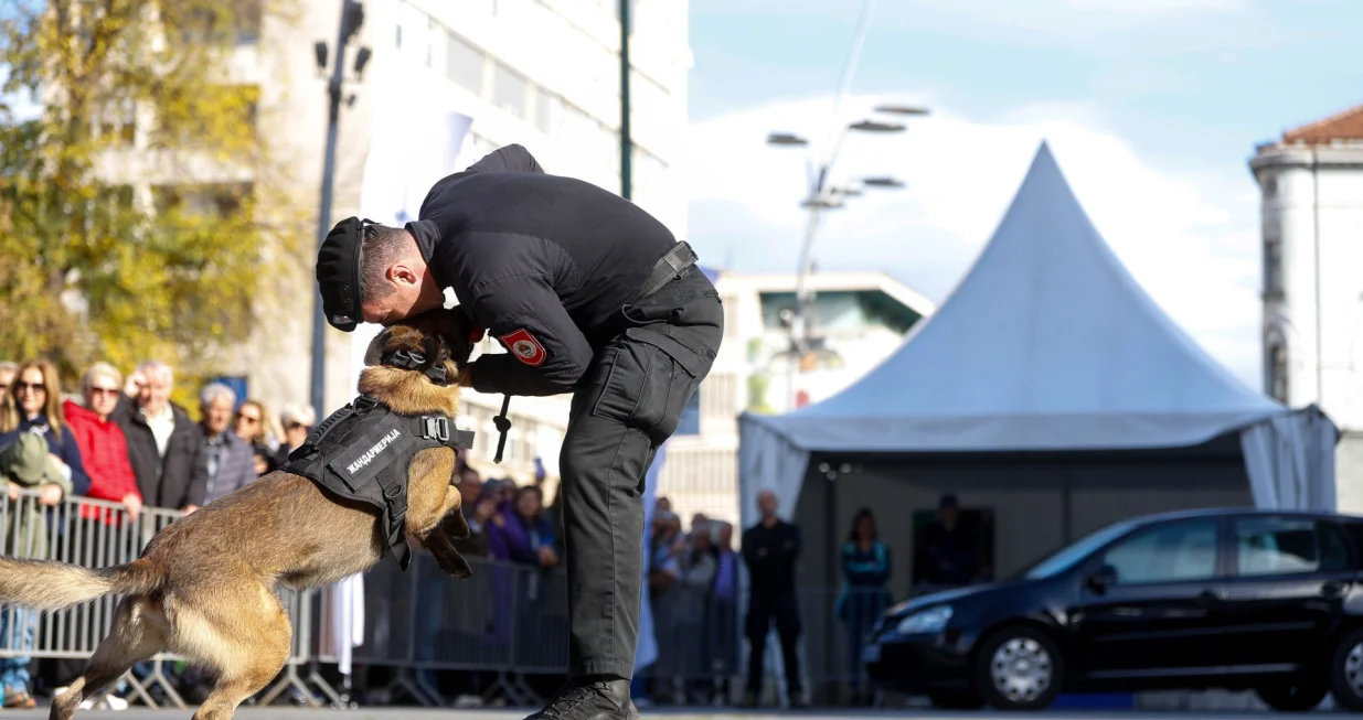 prezentacijs vještina K9 jedinica iz BiH/Damir Deljo
