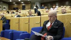 Nedžad Lokmić, borački dodatak/