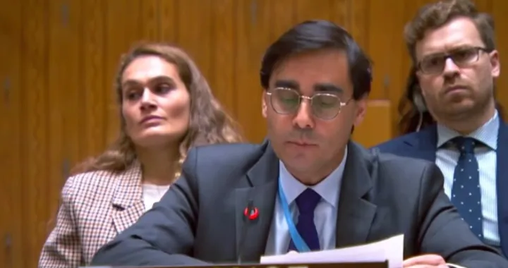 Predstavnik Francuske, UN, Vijeće sigurnosti/Prtsc