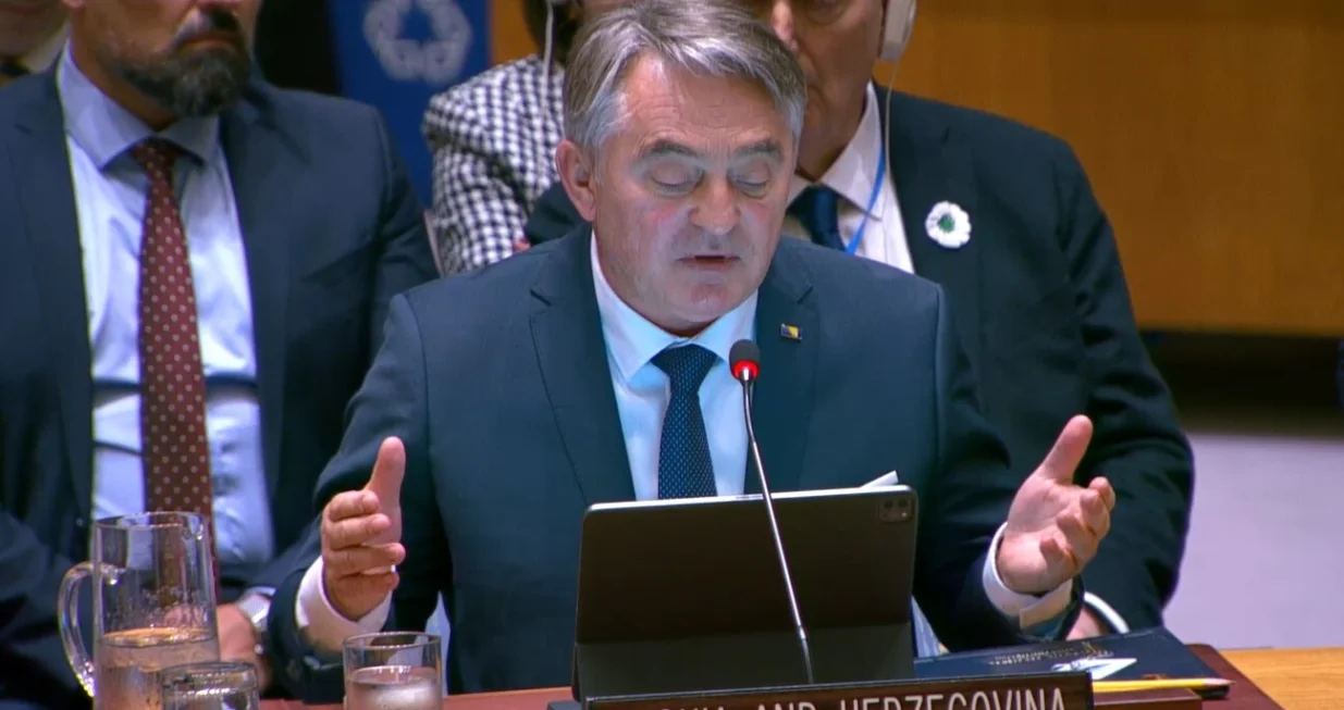 Komšić: Za BiH postoje dvije alternative/Screenshot/