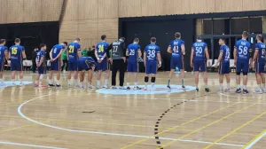 Rukometna reprezentacija BiH/Foto: 