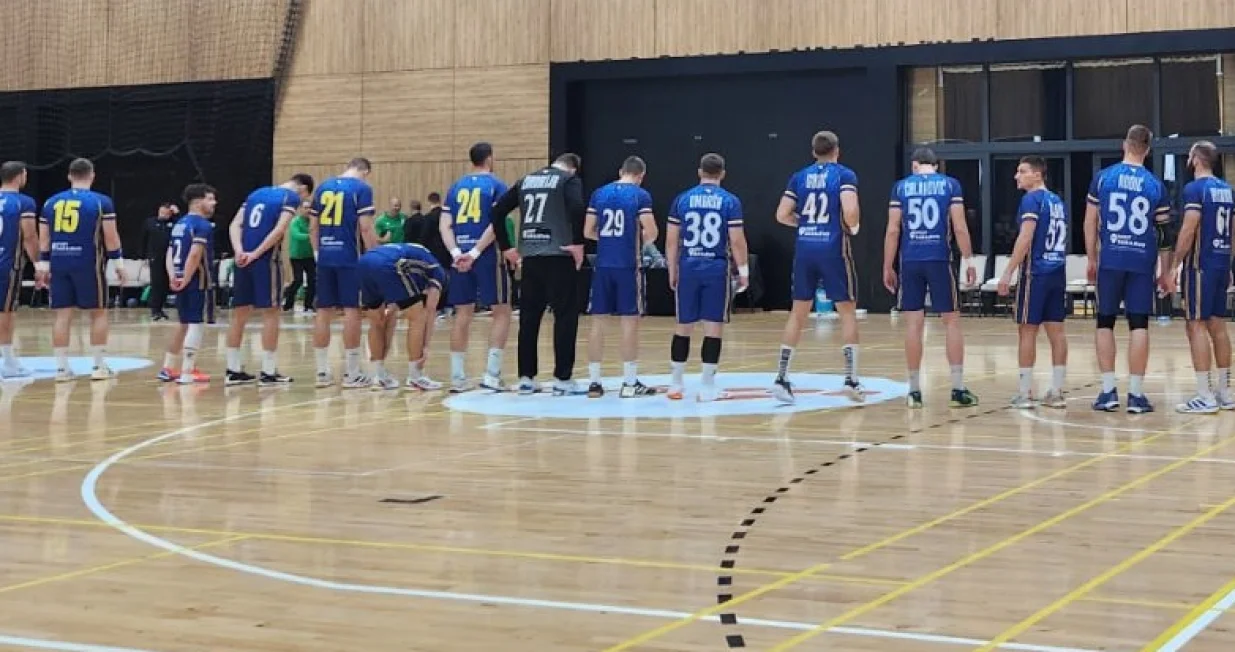 Rukometna reprezentacija BiH/Foto: 