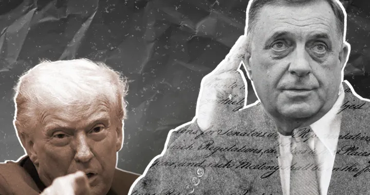 Vildana Selimbegović, kolumna/Benjamin Krnić