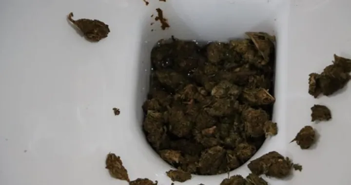 Oduzeti droga i novac/PU dubrovačko-neretvanska/