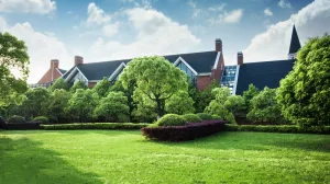 Nema više žute trave/Free Pik