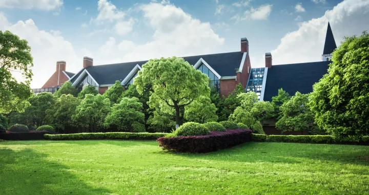 Nema više žute trave/Free Pik