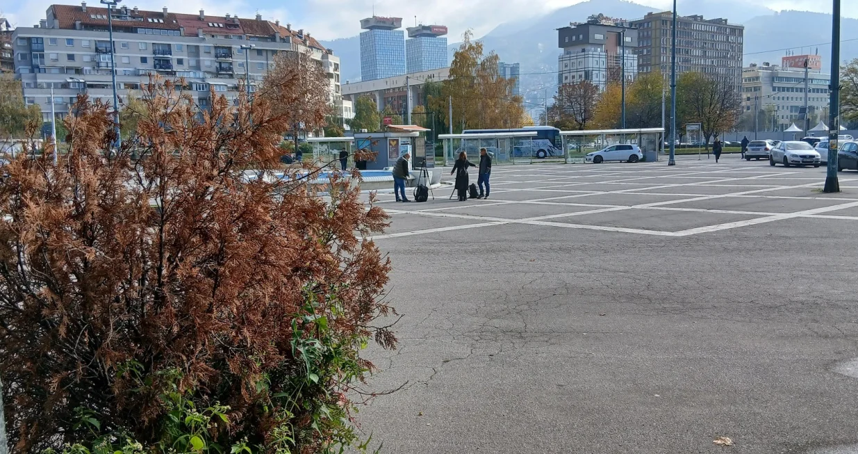 Trg žrtava genocida u Srebrenici u Sarajevu: Bez fontane zelenila, osim osušene tuje u žardinjeri/