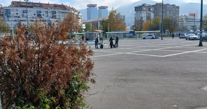 Trg žrtava genocida u Srebrenici u Sarajevu: Bez fontane zelenila, osim osušene tuje u žardinjeri/