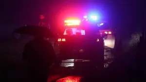 pucnjava ilustracija/Natasa Pusic