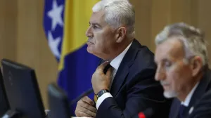 Dom naroda PSBiH/Fena