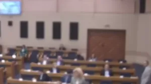 NSRS, sjednica, Đorđe Vučinić, izbacivanje sa sjednice/Prtsc