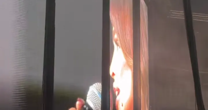 severina, koncert, dijana hrka, srbija, majka/Screenshot