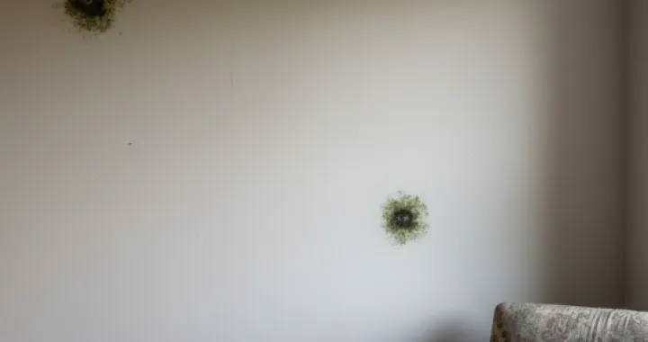 Ovo će riješiti vaš problem/Ilustracija