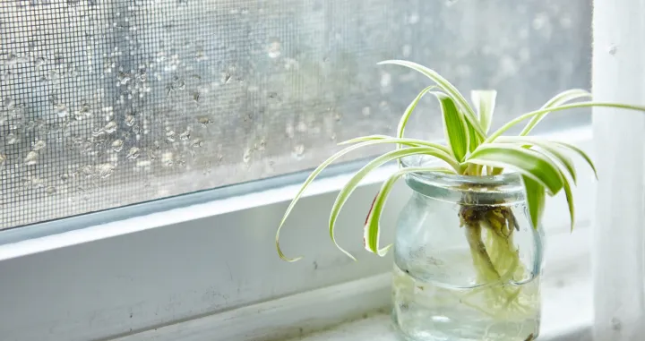 Reagujte na vrijeme/Free Pik