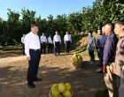 Xi Jinping, posjeta, poljoprivrednici/谢环驰
