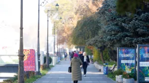 Novembar zahladenje/Damir Deljo