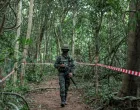 FILE PHOTO: Person from Thai military walks near Thai-Cambodian border at Chong Chub Ta Mok area, where landmines were found deployed, following a ceasefire between Cambodia and Thailand, in Surin Province, Thailand, August 20, 2025. REUTERS/Chalinee Thirasupa/File Photo/Chalinee Thirasupa