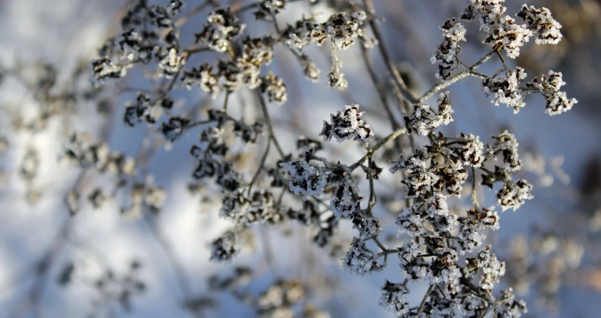 Zaštitite ih na vrijeme/Free Pik