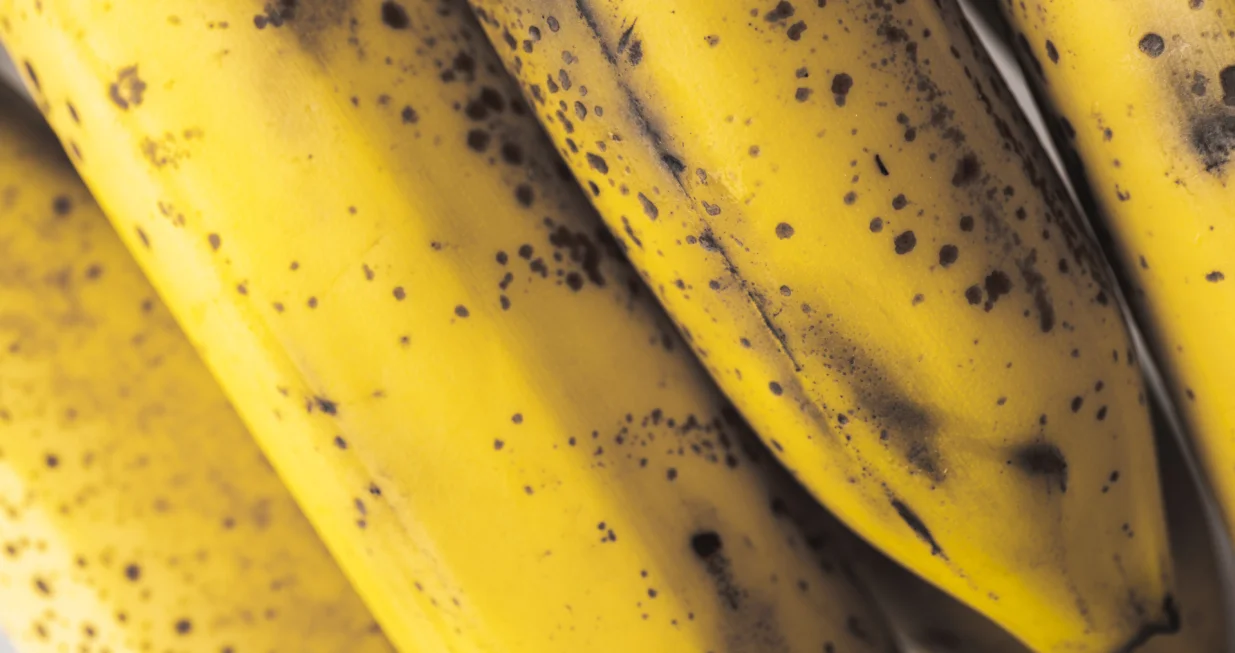 Jedan kuhinjski detalj čini čudo/Free Pik