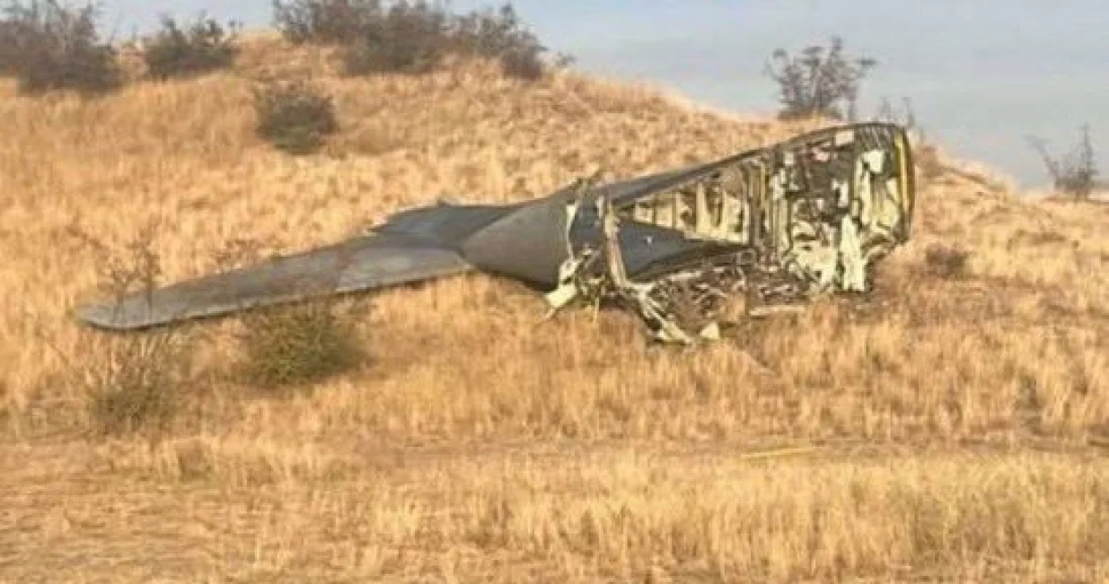 Srušio se avion/X.com//