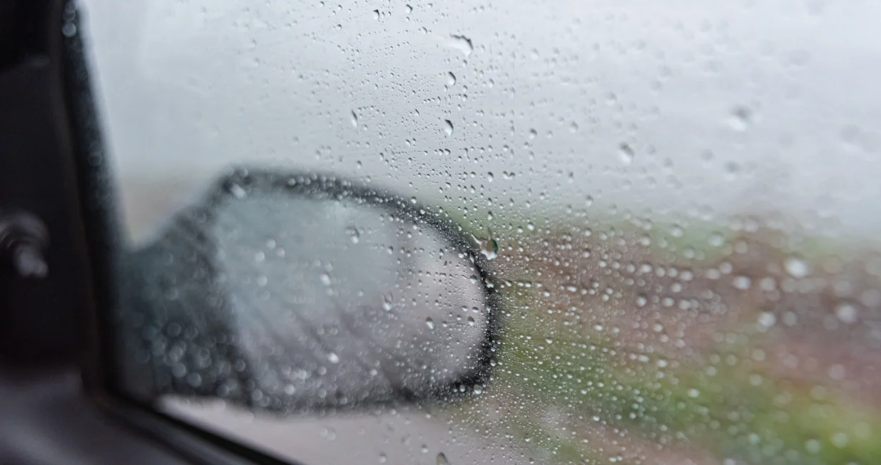 Ovo većina nije znala/Free Pik