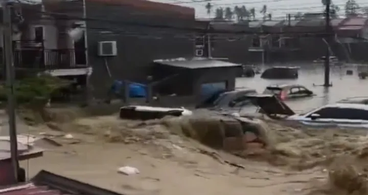 Raste broj žrtava/X.com//