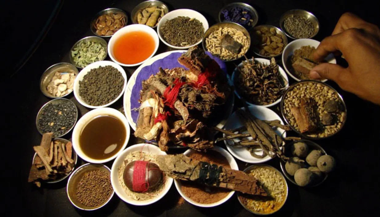 2- RIZNICA ZDRAVLJA: Na tibetanskoj visoravni Qinghai raste više od 2.000 vrsta biljaka, živi 159 vrsta životinja i postoji 80 vrsta minerala za farmaceutsku proizvodnju, čineći tibetansku medicinu superiornom/