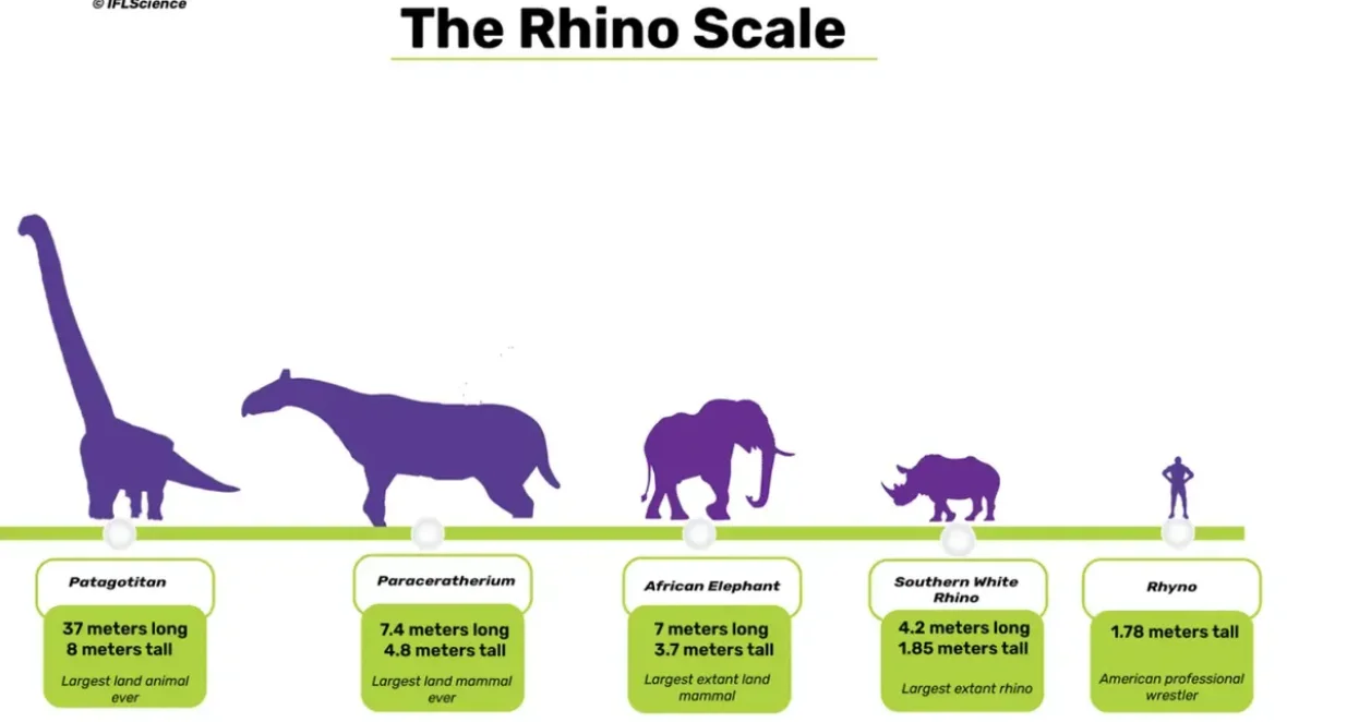 Kako se Paraceratherium može mjeriti s ovim divovima?/