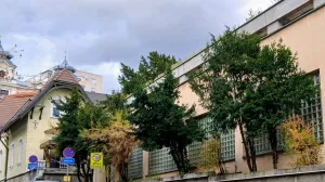  Tise u centru_Sarajeva/