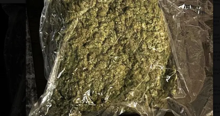 Oduzeta droga/MUP TK/