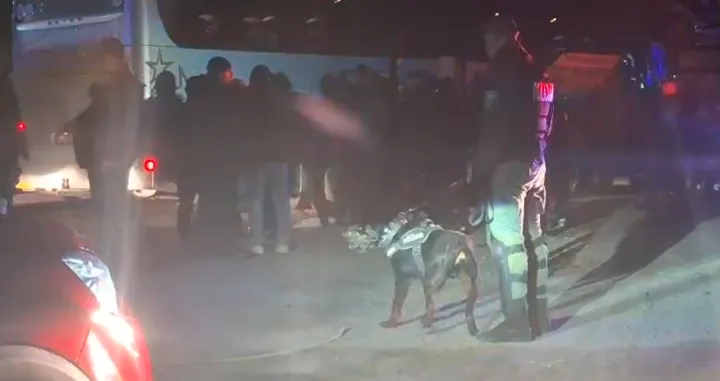 FOTO: Prosport.ro/Foto: 