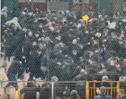 Navijači Rumunije brutalno pretučeni na Bilinom polju (FOTO: Screenshot)/Foto: 