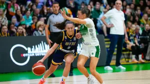 Bosna i Hercegovina - Republika Irska/Foto: 