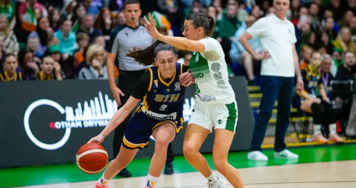 Bosna i Hercegovina - Republika Irska/Foto: 