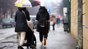 Kišni dan u Godaždu sredina novembra/Damir Deljo