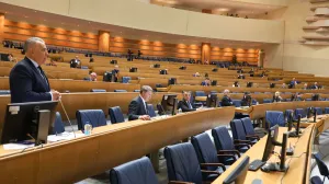 Predstavnički dom PSBiH/Fena