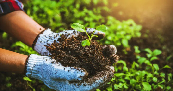 poljoprivreda razvoj ilustracija/