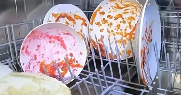 Mašina za pranje suđa, kamera/