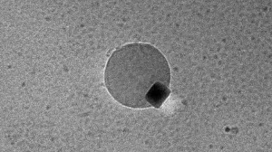 Balon koji izlazi iz paladija.Zasluge za sliku: Vinayak Dravid/Sjeverozapadni univerzitet/