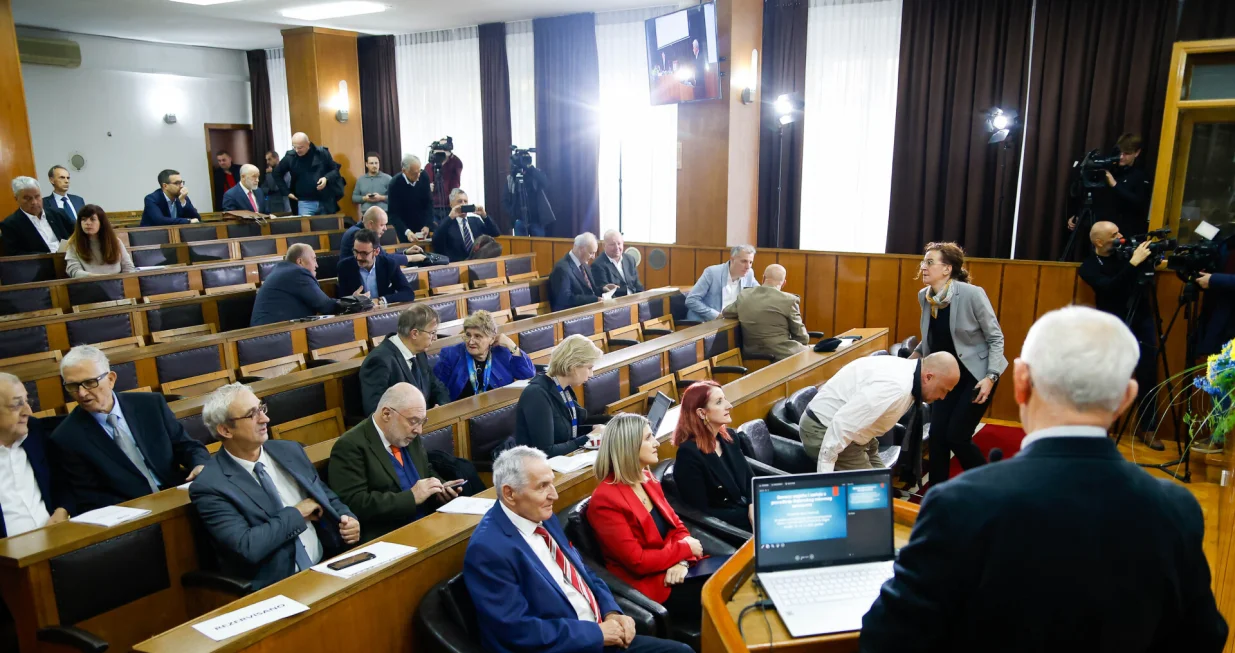 ANUBiH 30. godišnjica Dejtonskog mirovnog sporazuma/Damir Deljo