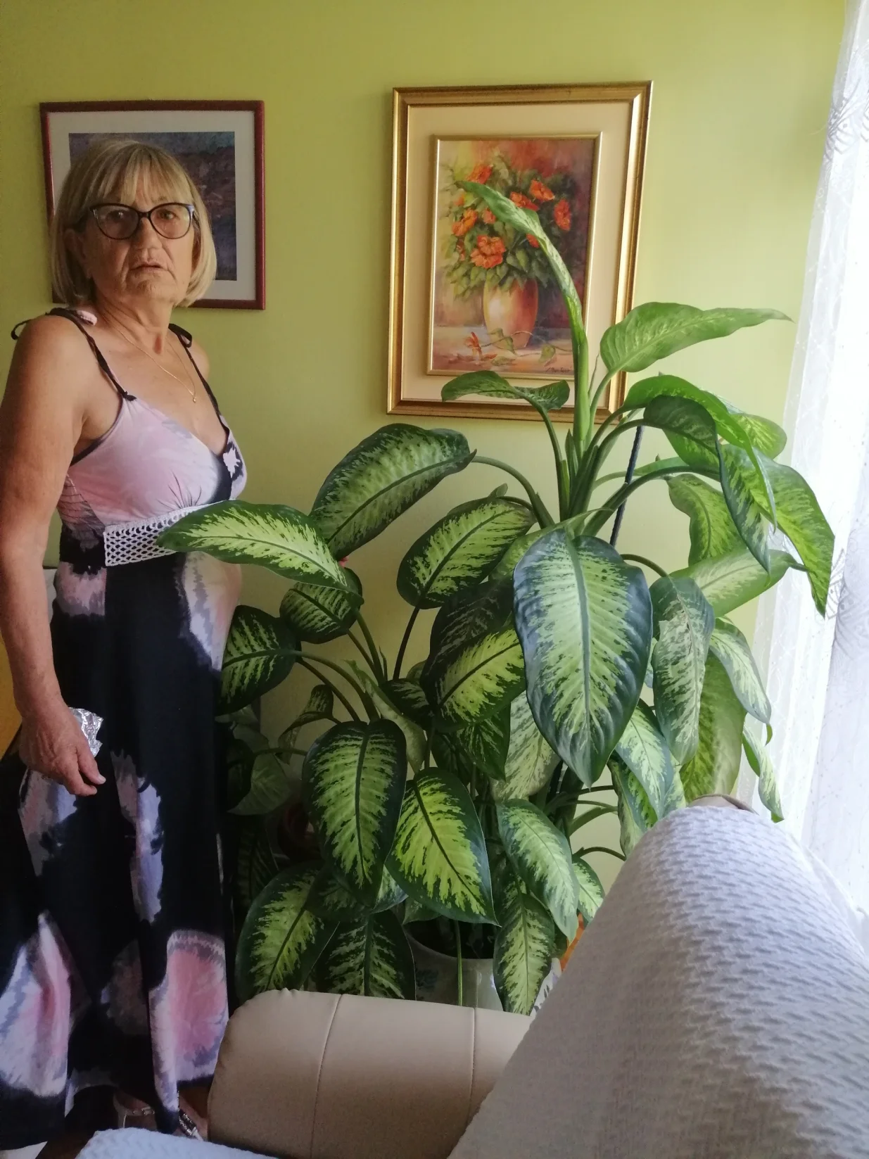 Difenbahija čisti i ukrašava, ali pri radu oprez - otrovna je/