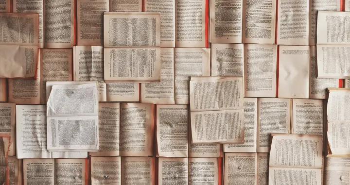 riječ, riječi, knjige, romani, književnost/Patrick Tomasso