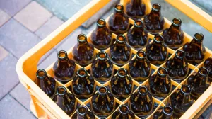 Napravili štetu od oko 140 KM/ Ilustracija/ Canva/