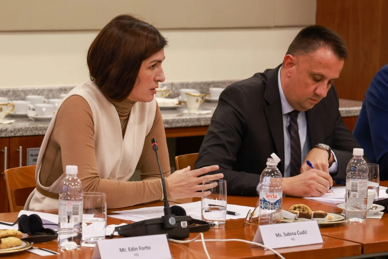 Sastanak o Južnoj interkonekciji/X/