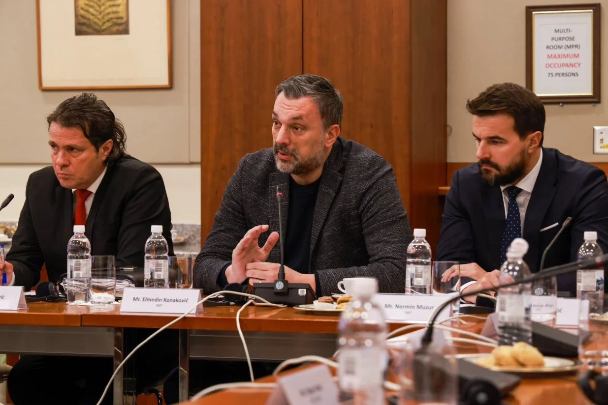 Sastanak o Južnoj interkonekciji/X/