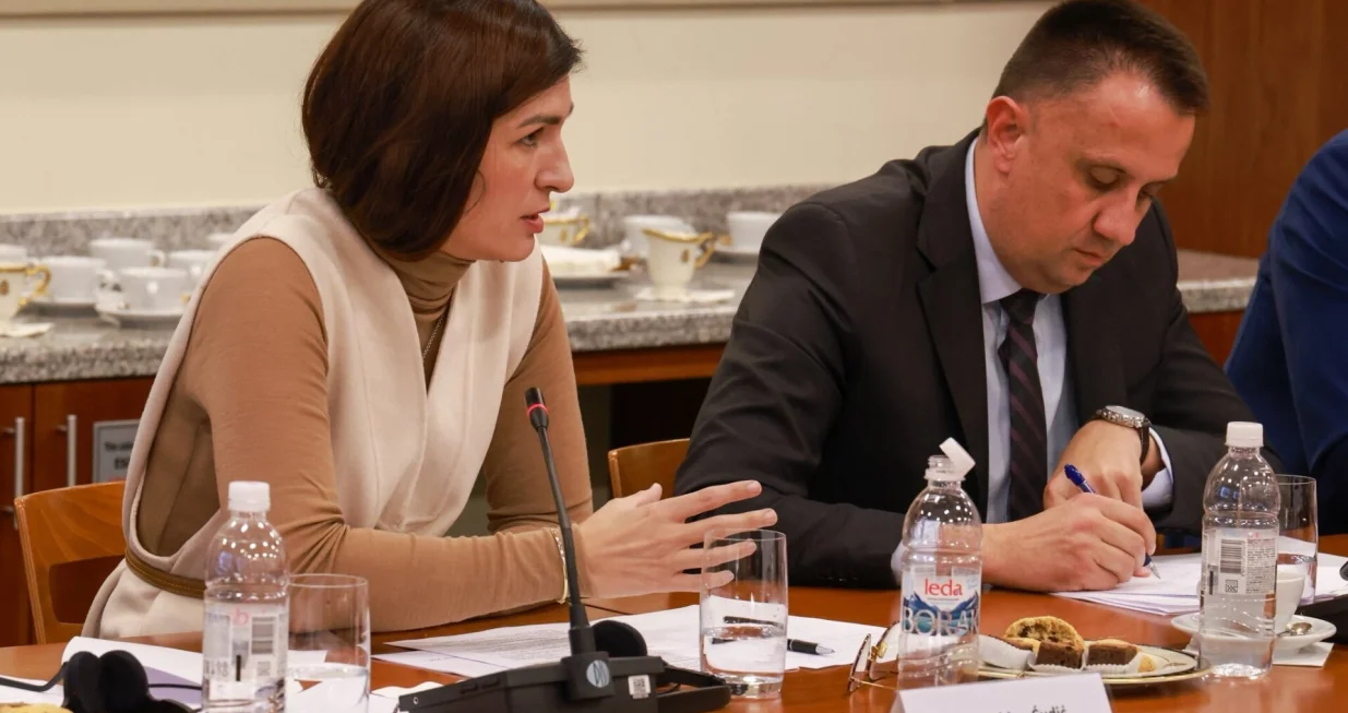 Sastanak o Južnoj interkonekciji/X/