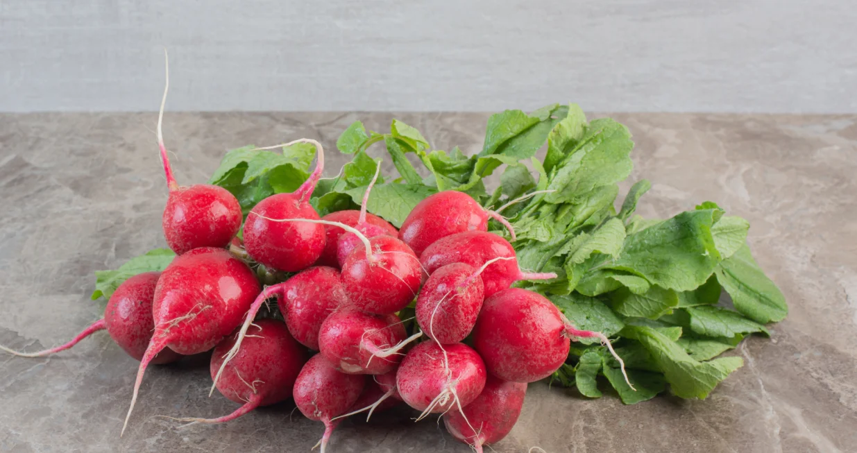 Iznimno korisna/Free Pik